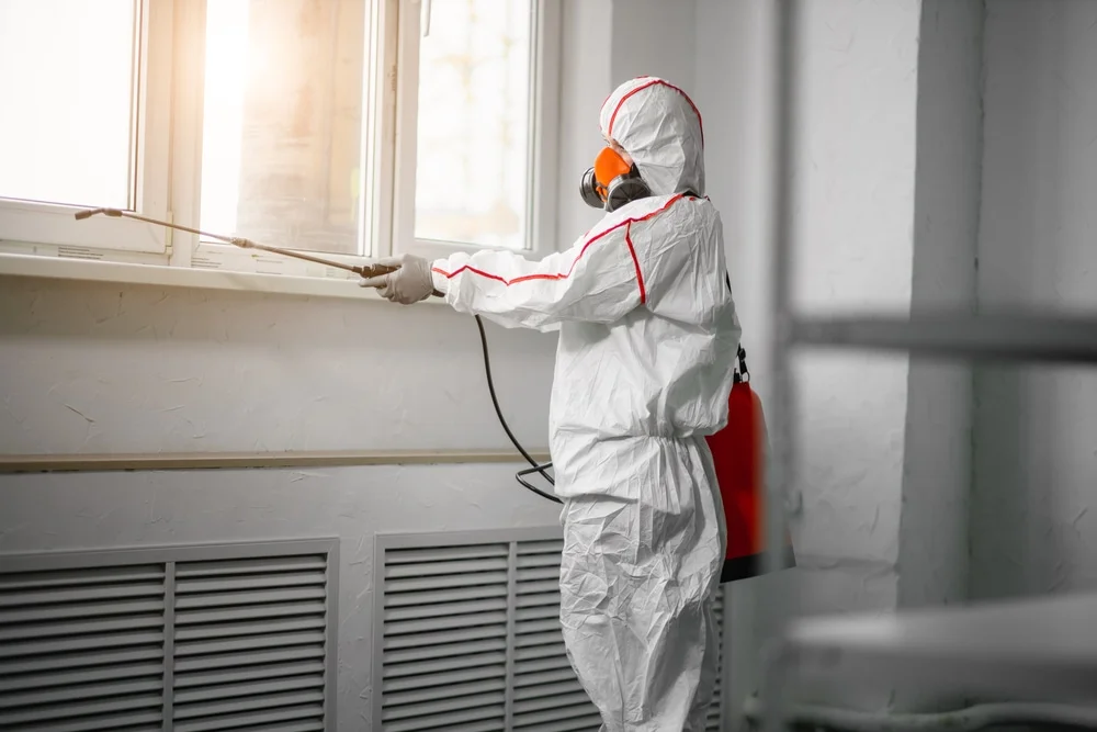 Professional mold remediation services in Mount Horeb, WI